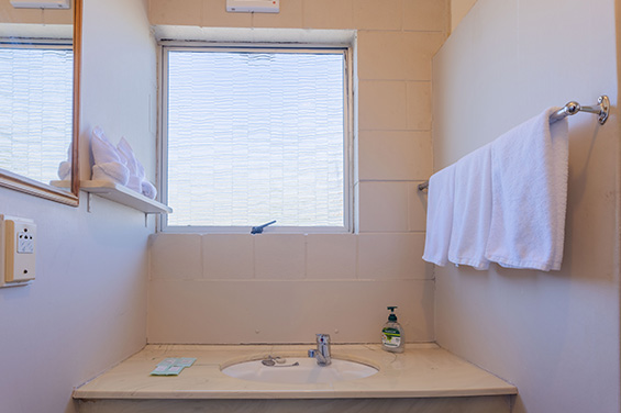 Twin or Triple King Single Room